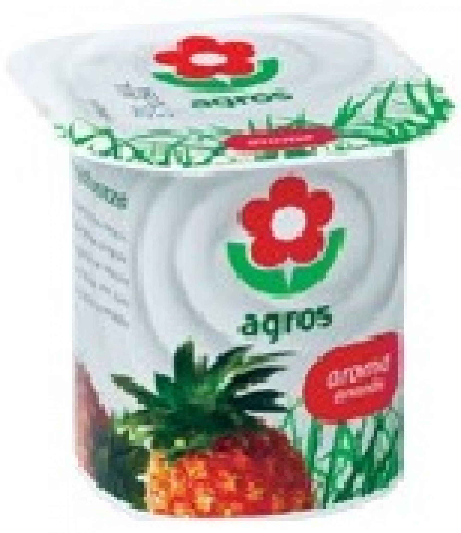 IOGURTE AGROS AROMA ANANAS (24)