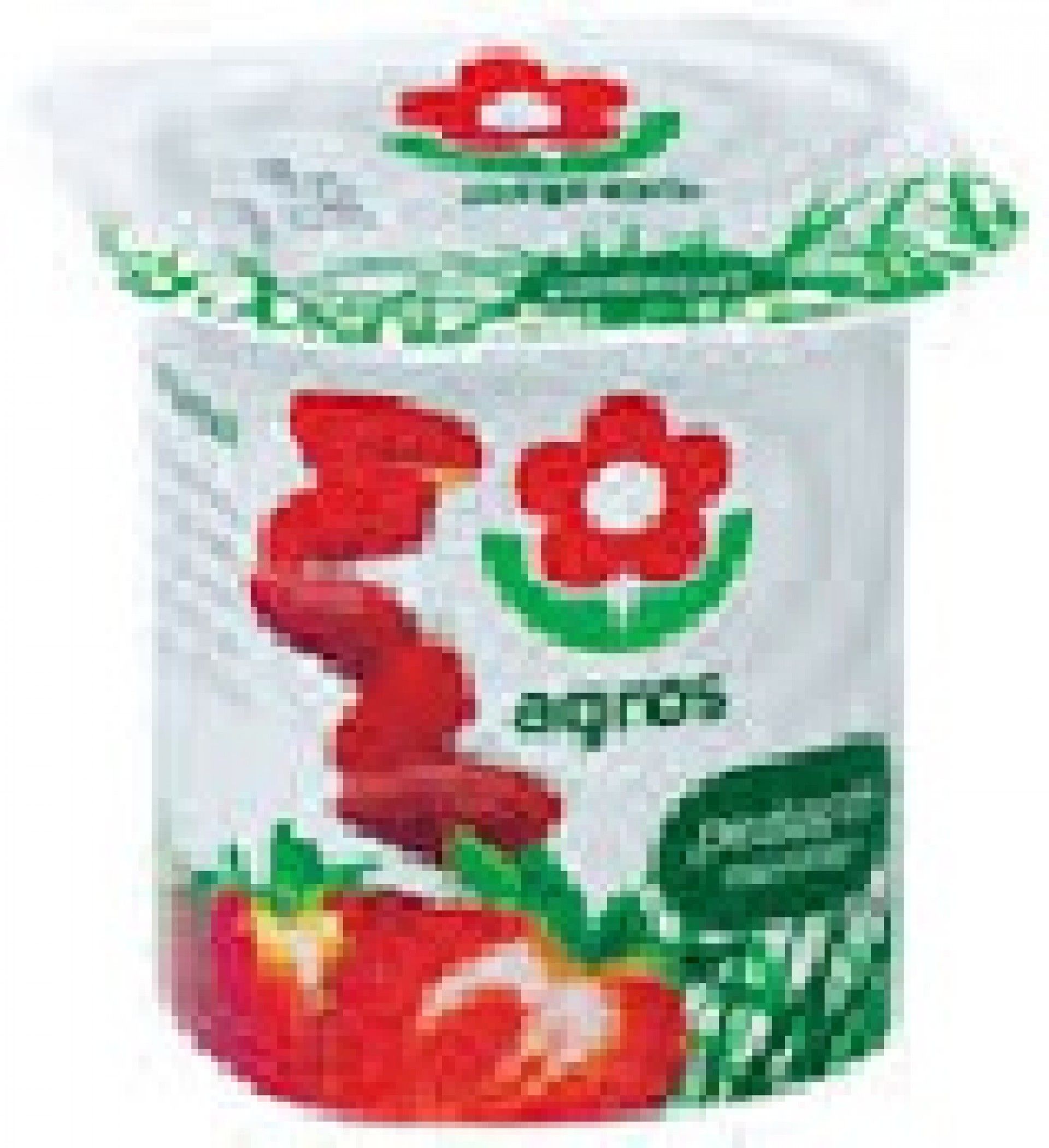 IOGURTE AGROS PEDACOS MORANGO (24)