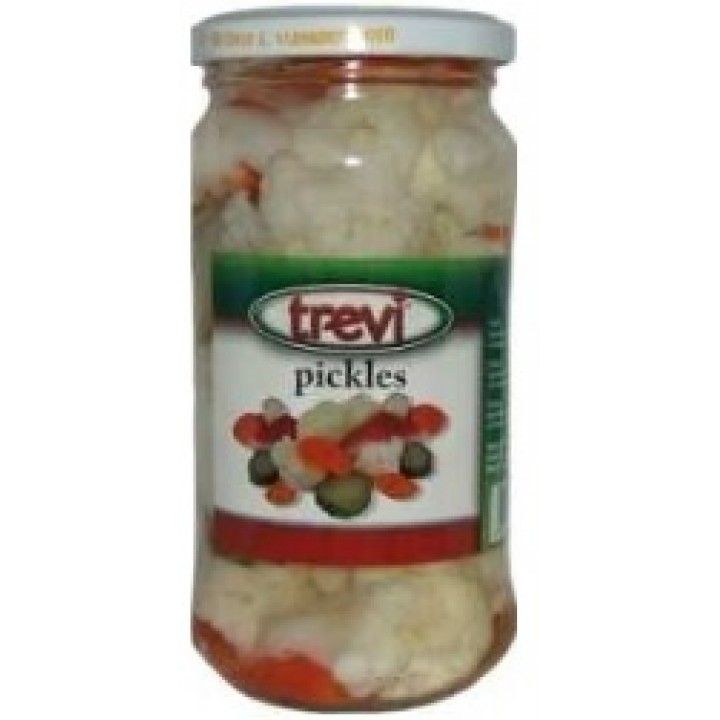 PICKLES TREVI FRASCO 360GRS (12)# PICKLES TREVI FRASCO 360GRS (12)#