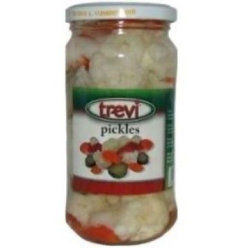 PICKLES TREVI FRASCO 360GRS (12)#