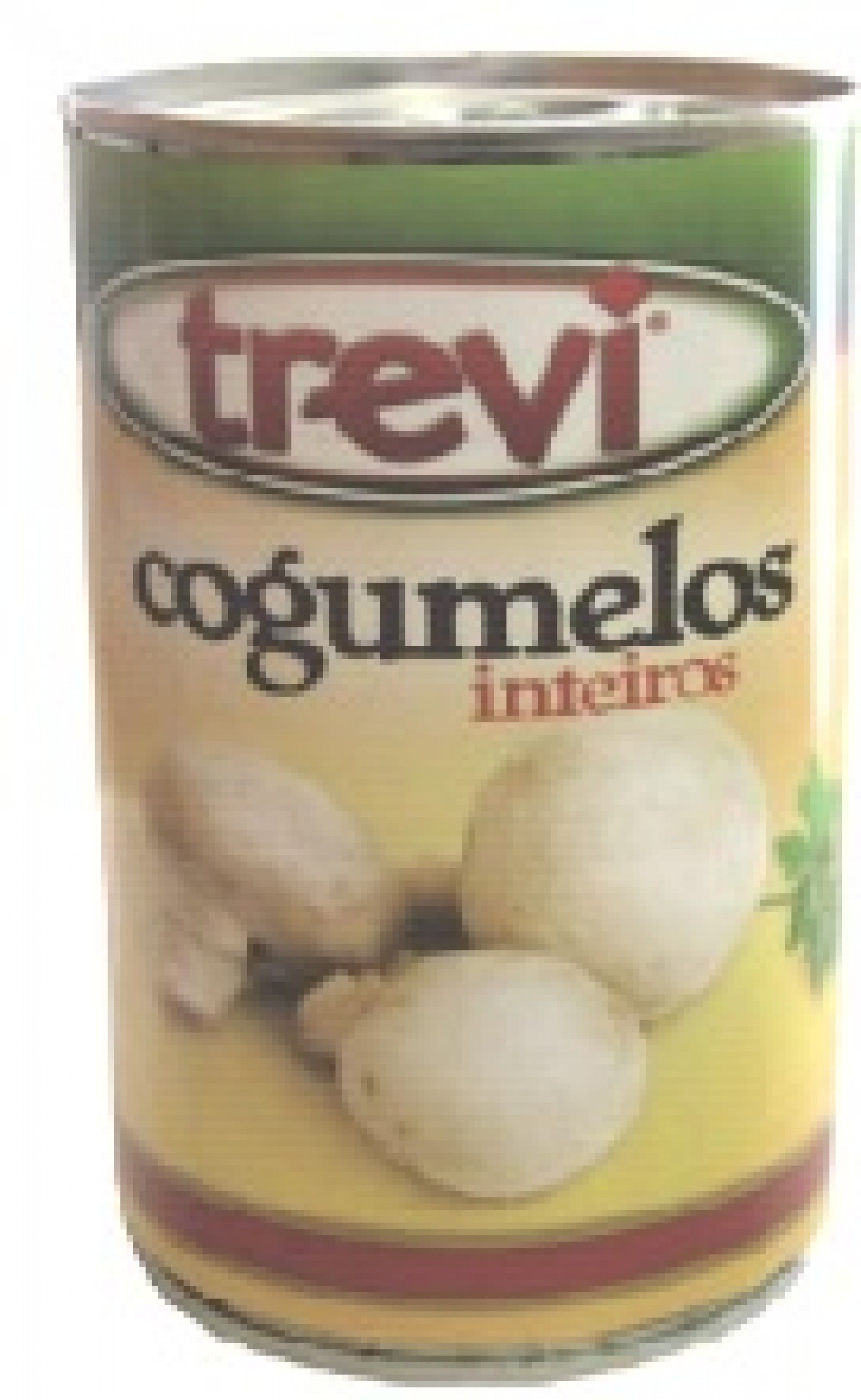 COGUMELOS TREVI INTEIROS LATA 355GRS (12)#