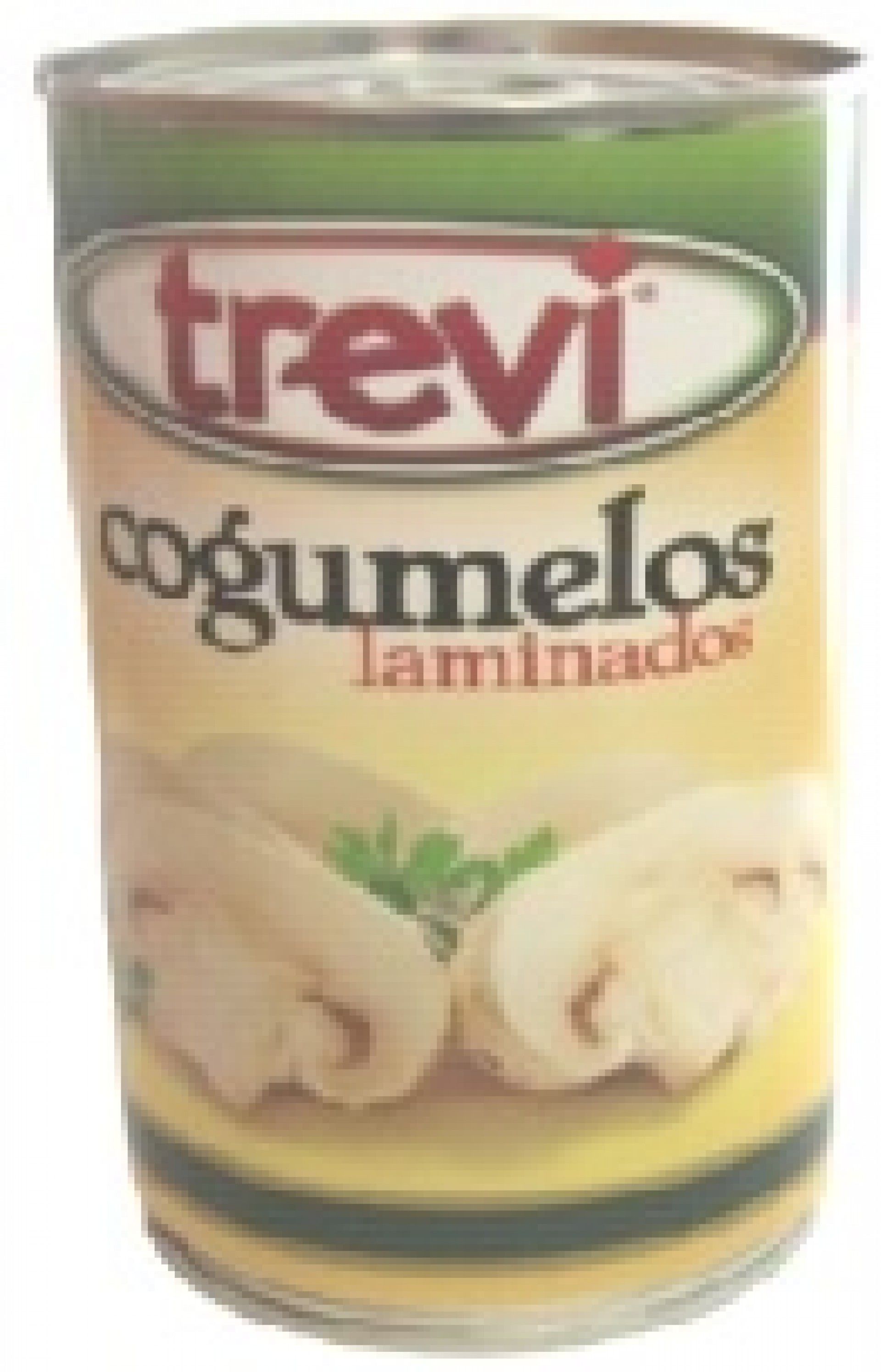 COGUMELOS TREVI LAMI.LATA 355GRS (170GRS PLE) (12)#