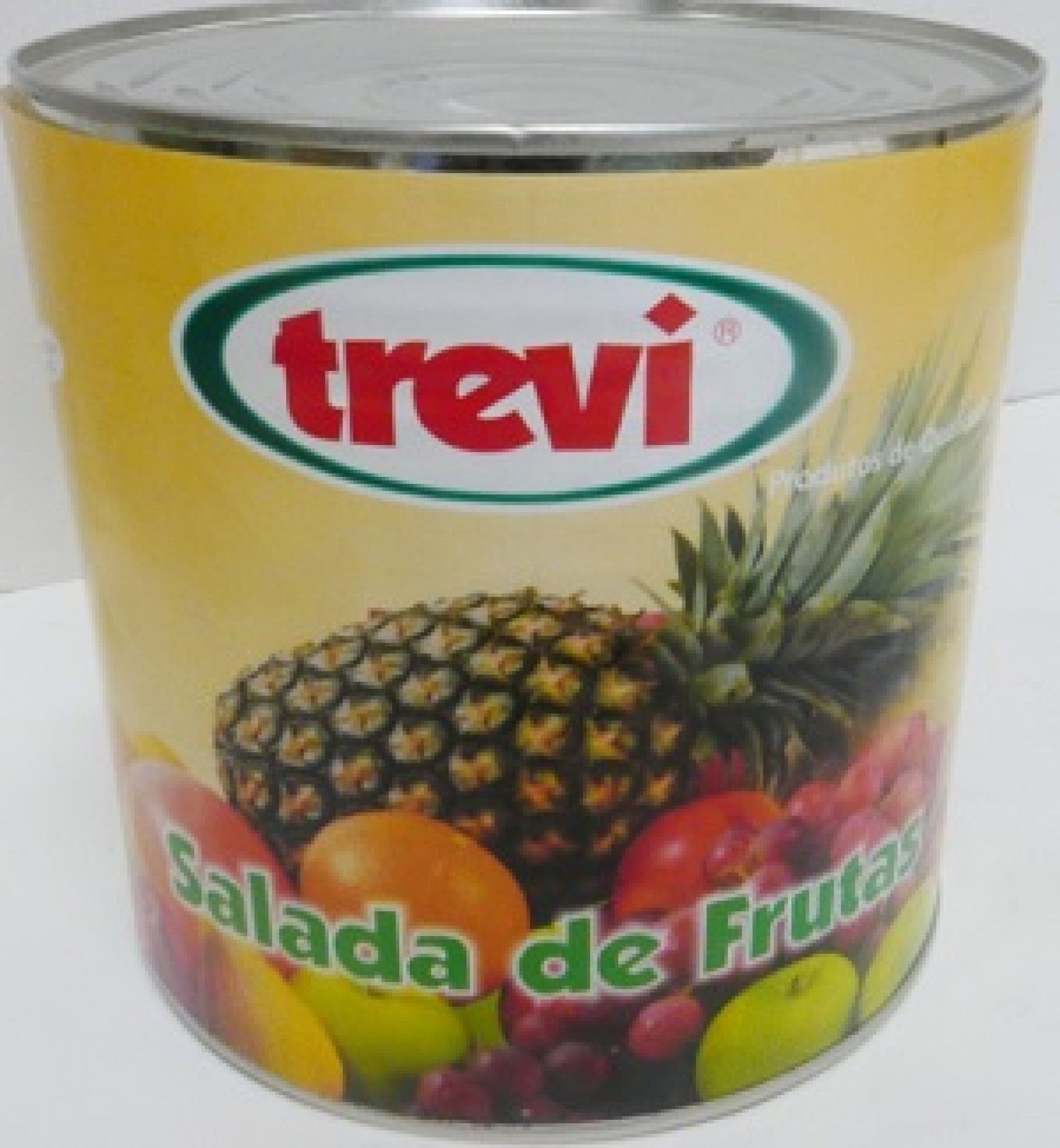 SALADA FRUTAS TREVI 3KG (6)