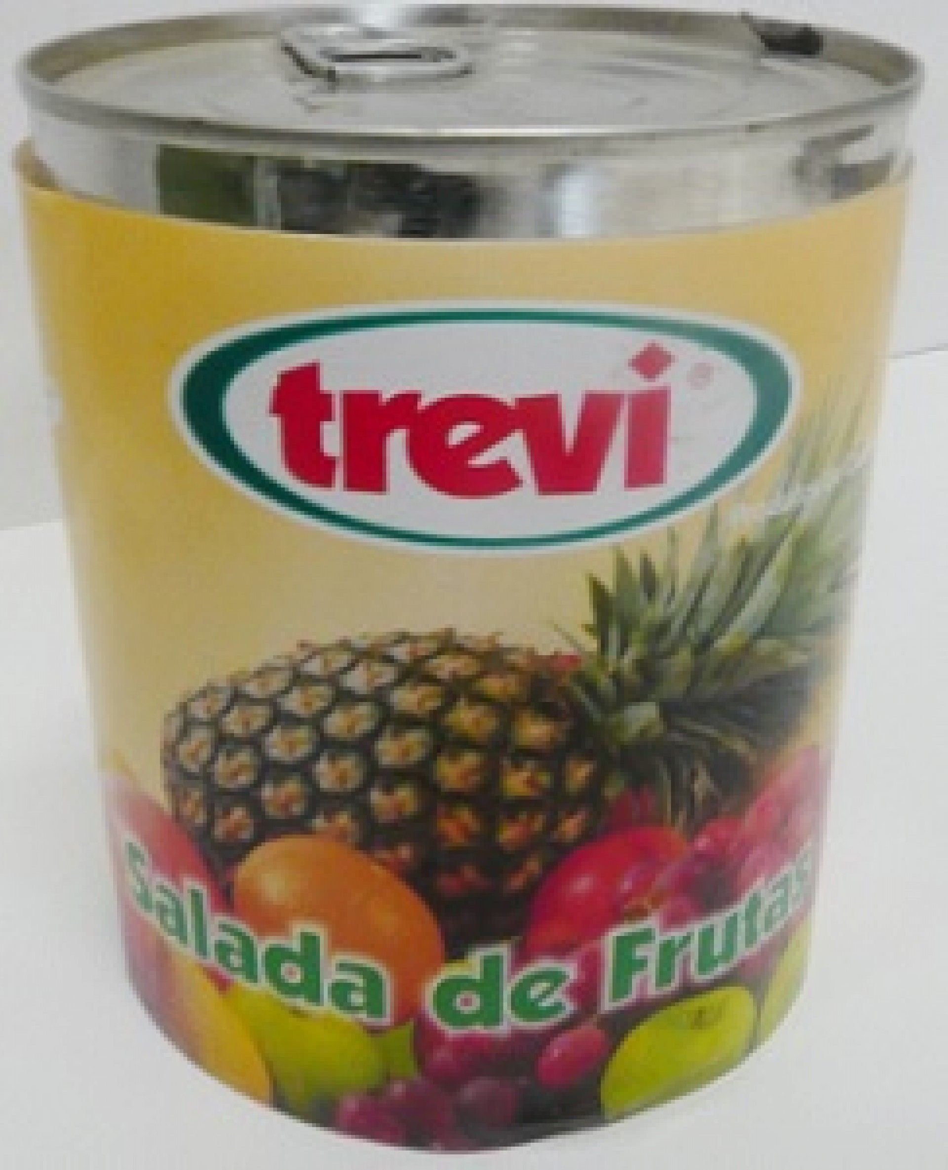 SALADA FRUTAS TREVI A/F 840GRS (12)