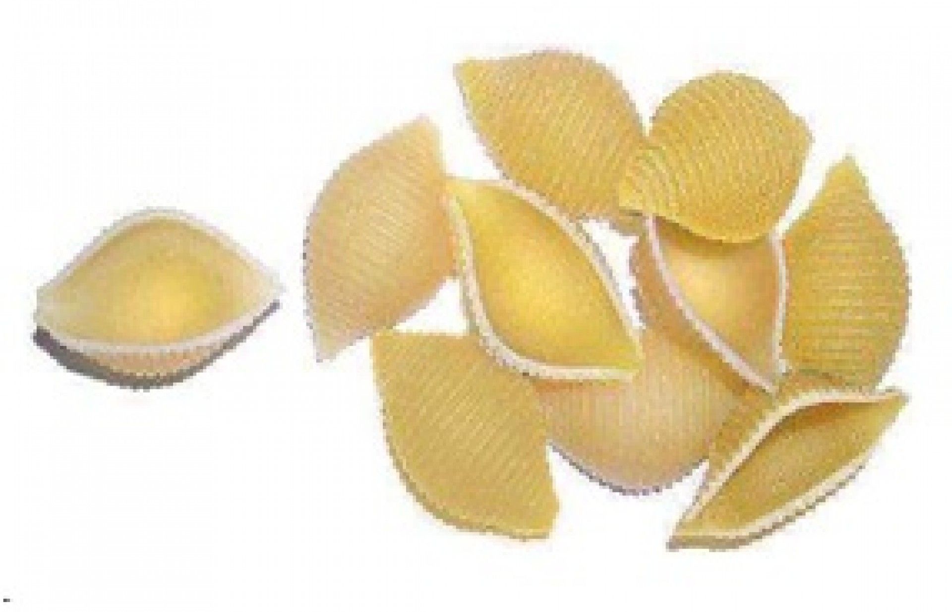 CONCHAS MILANEZA 500GRS (15)#