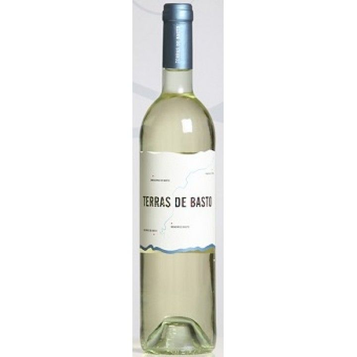 VINHO TERRAS DE BASTO VERDE BCO 0.75L (6)