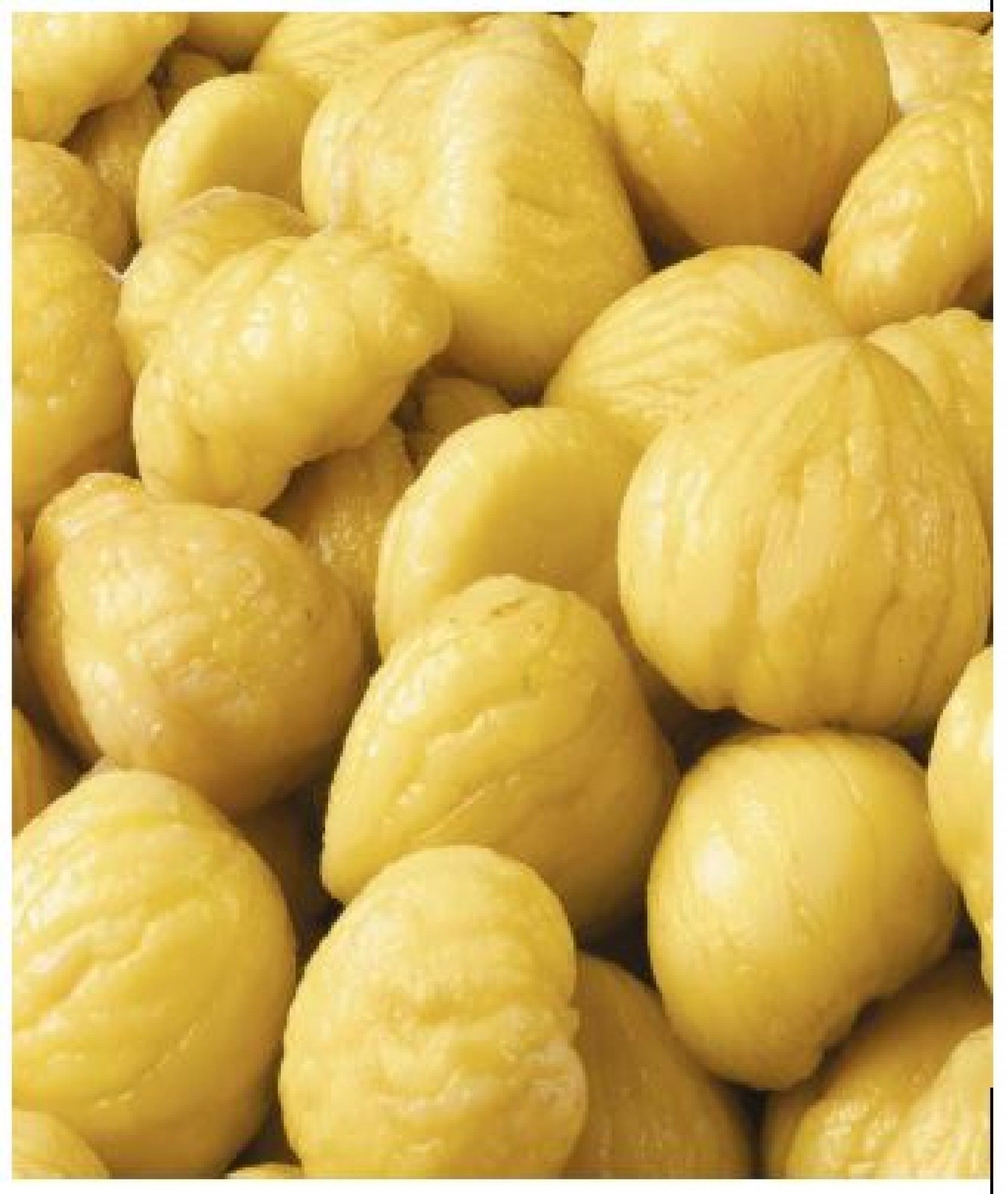 CASTANHA MIOLO CONG.100/120 KG.SORTEGEL (CX 5 KG)