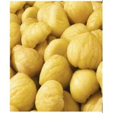 CASTANHA MIOLO CONG.100/120 KG.SORTEGEL (CX 5 KG)