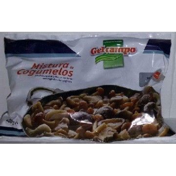 SETAS (COGUMELOS SILVESTRES) 400 GRS GELCAMPO CX.8 SETAS (COGUMELOS SILVESTRES) 400 GRS GELCAMPO CX.8