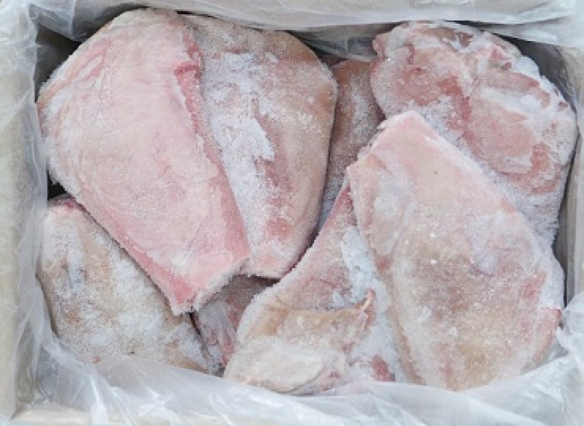 ORELHA PORCO MONTINO KG.