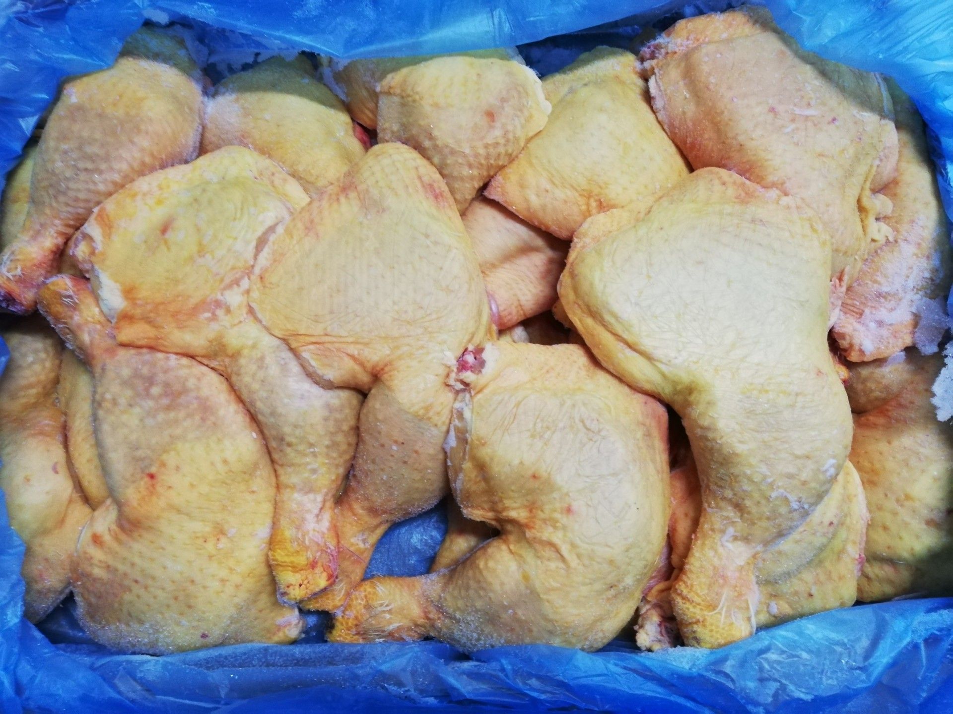 PERNA FRANGO AMARELA KG (1)#