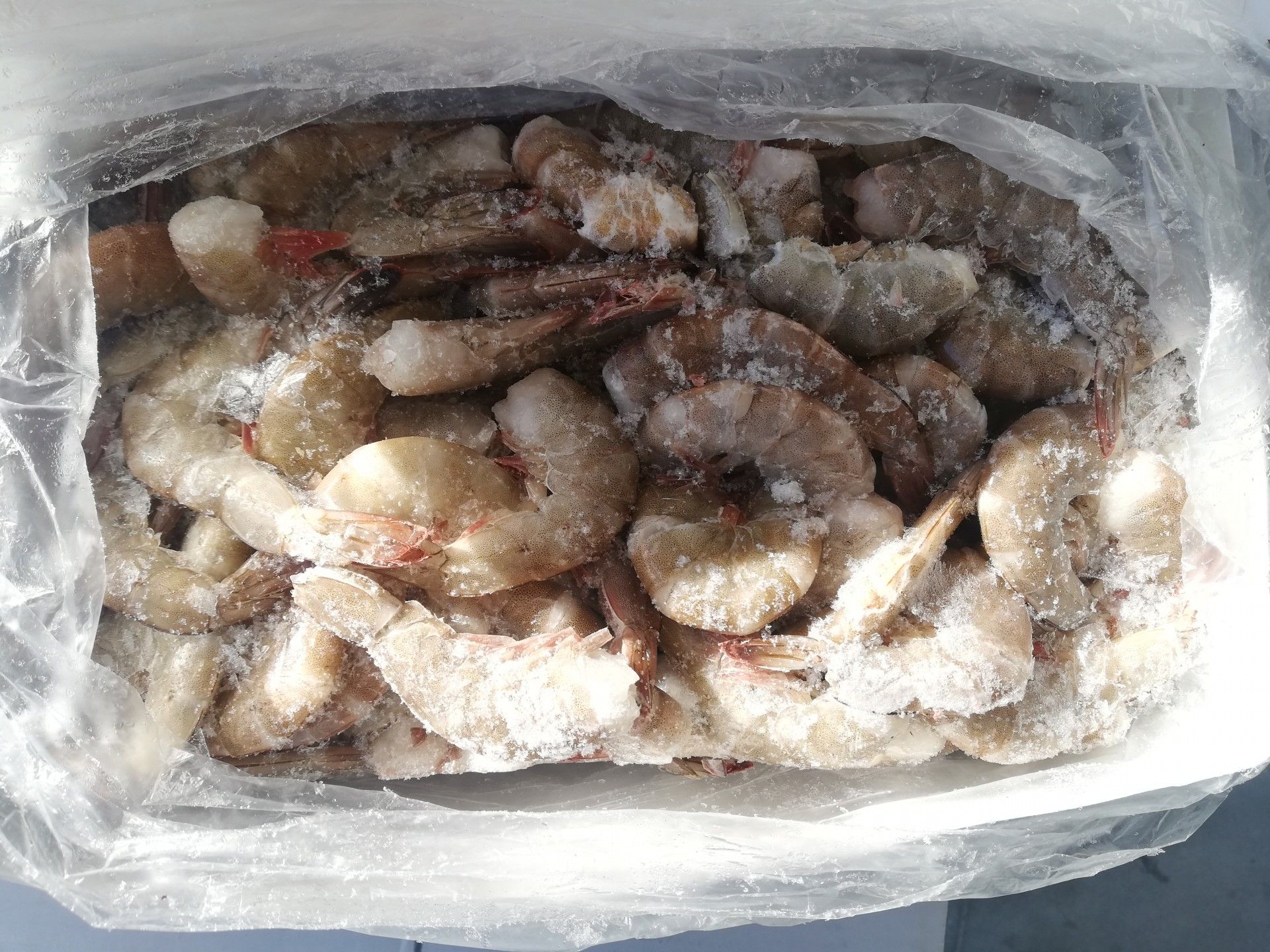 CAMARAO S/ CABECA 41/50 VANAMEI CORAL 2KG (PLE 1.8) (20)