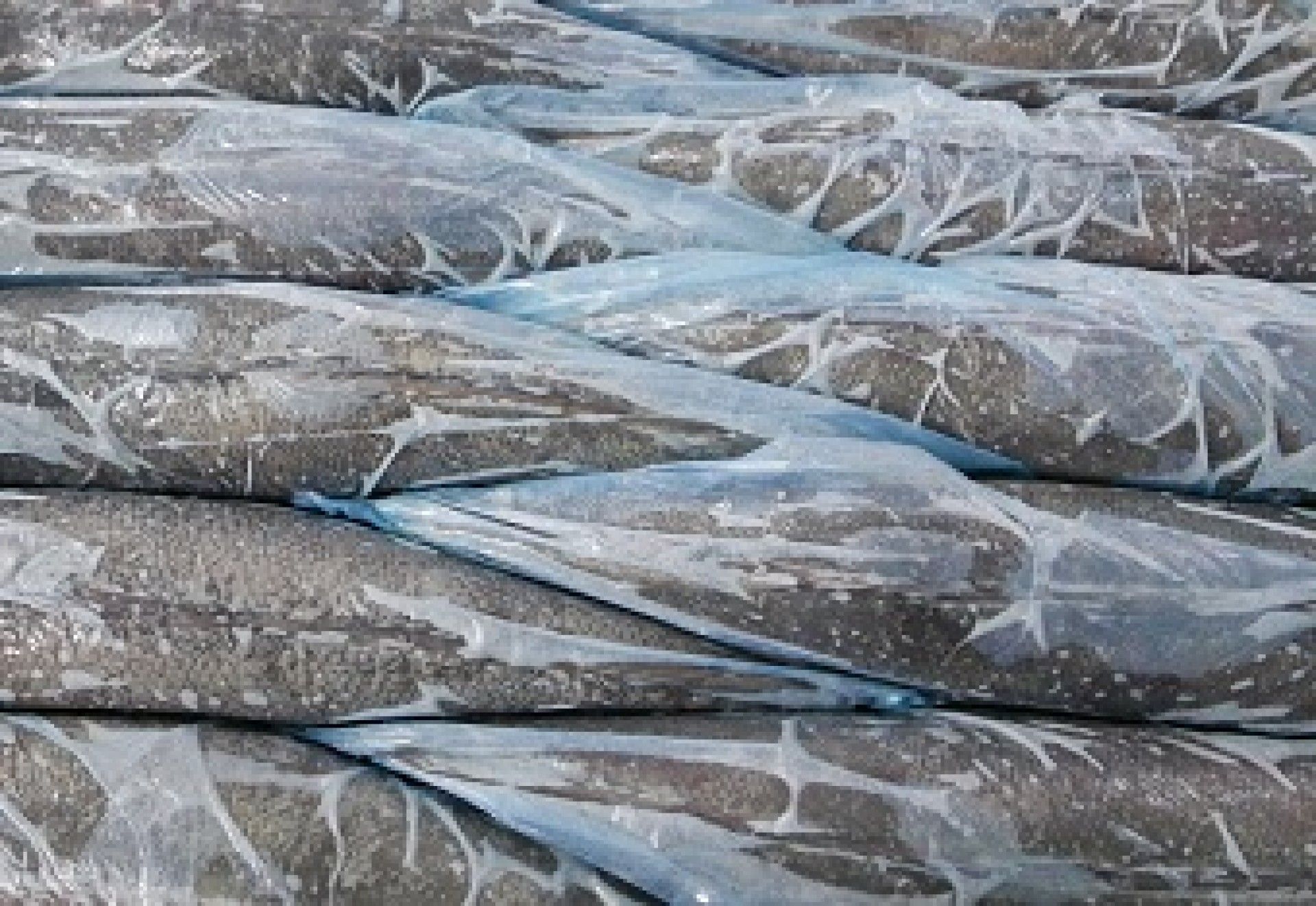 PESCADA 3CE(900/1200) AFRICA SUL OCEANA KG RE