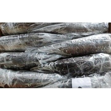 PESCADA 4E (1600/2000) A.F. KG. OCEANA (RE) PESCADA 4E (1600/2000) A.F. KG. OCEANA (RE)