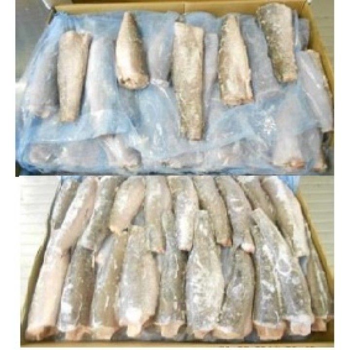 PESCADA 3LE (1200/1600) A.F. KG. OCEANA (RE)