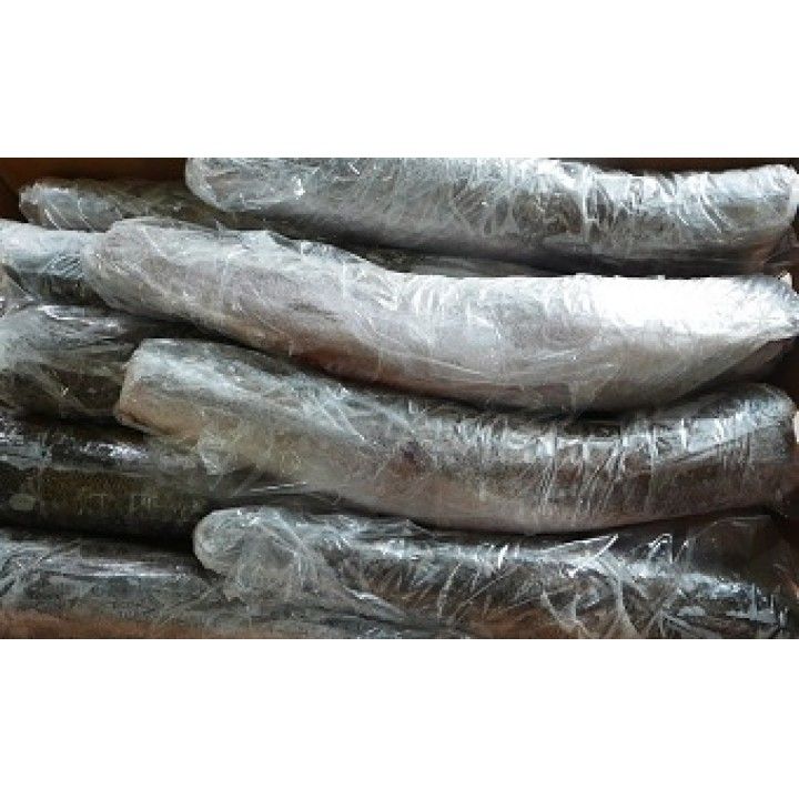 PESCADA 5E (+2000) A.F. KG. OCEANA (RE)