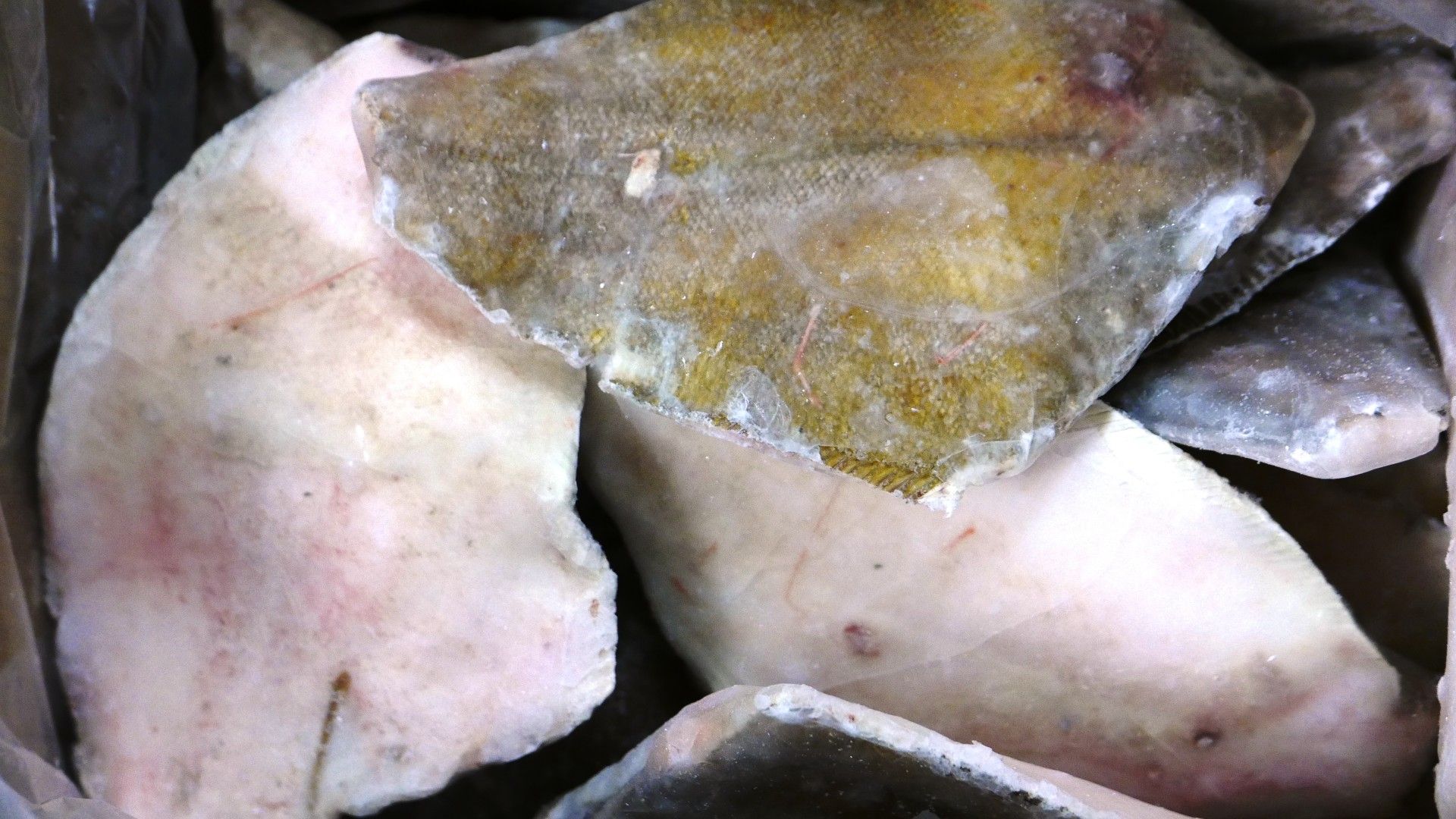 SOLHA (400/600) GRANEL FRIONDA KG (7)( 11154)