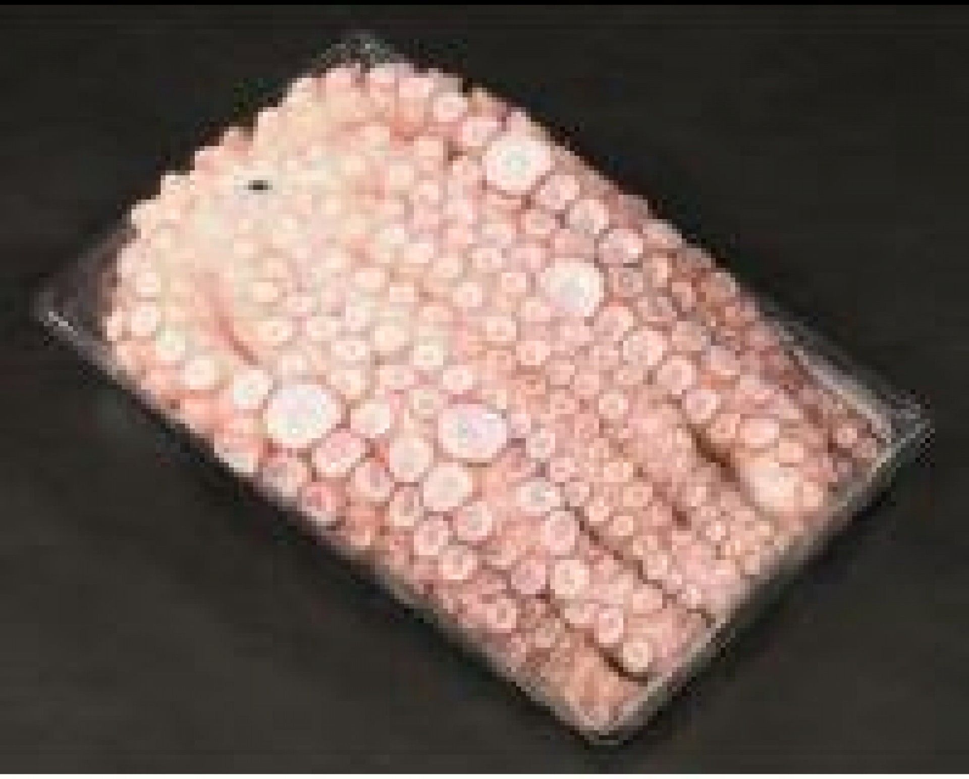 POLVO ALGARVIO N.0 (2.8-4) KG. (CX.+ - 20 KG)