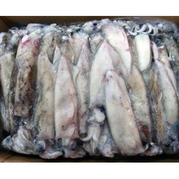 LULA C4 (9/12) PATAGONICA PESCANOVA (+-5KG) LULA C4 (9/12) PATAGONICA PESCANOVA (+-5KG)