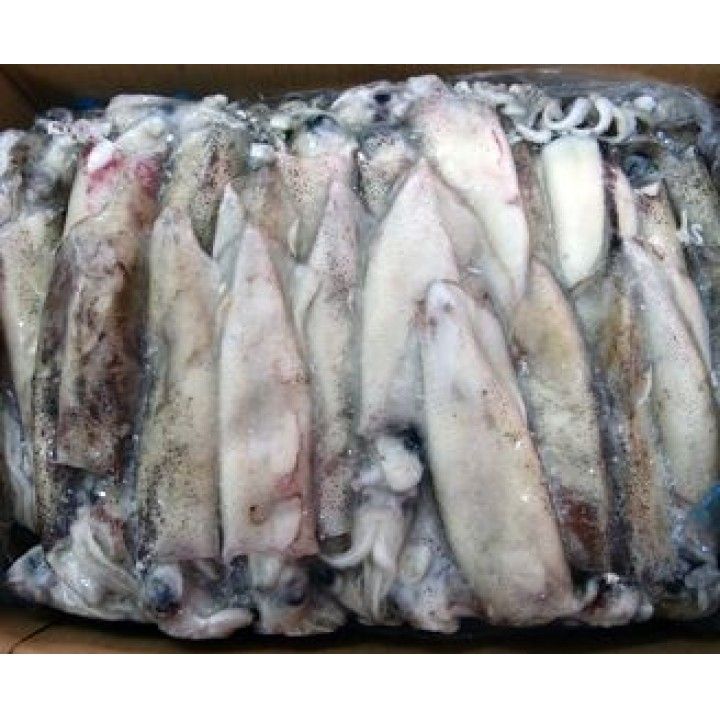 LULA C4 (9/12) PATAGONICA PESCANOVA (+-5KG) LULA C4 (9/12) PATAGONICA PESCANOVA (+-5KG)
