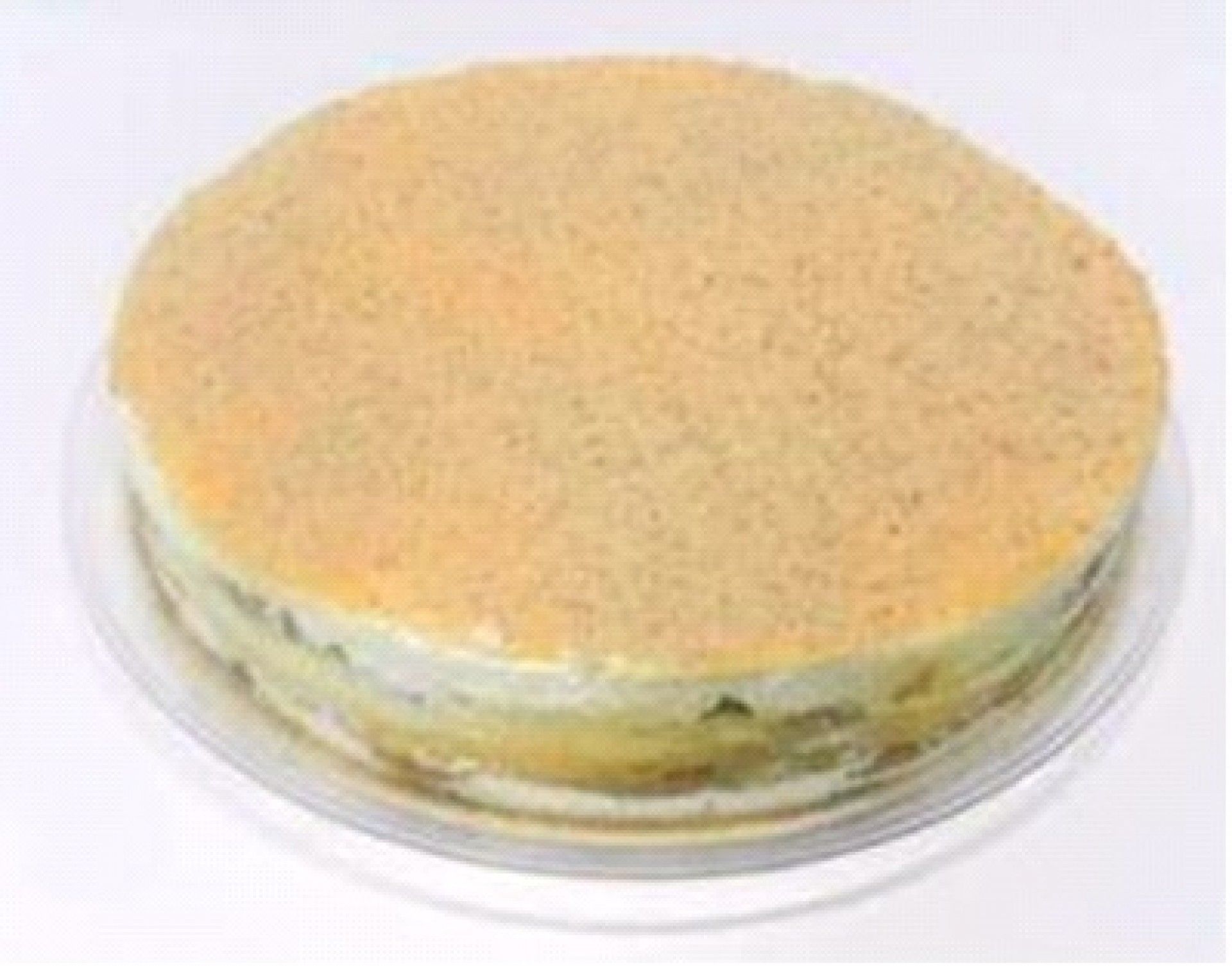 N.10 - BOLO BOLACHA C/BOLACHA 1.5 KG NOBELL (21779)