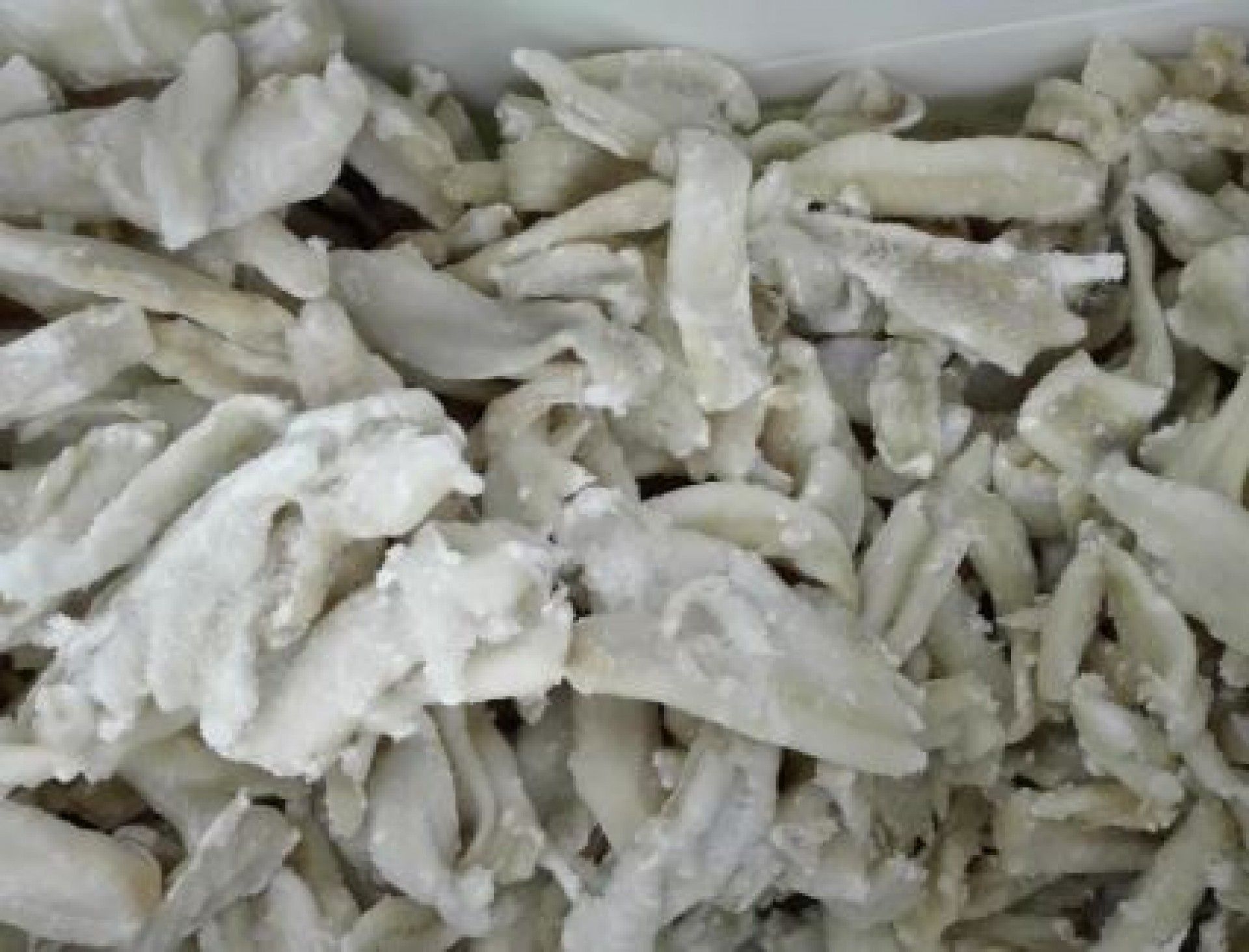 MIGAS PALOCO PACIFICO DEM. NORDFISH 5KG (307840)