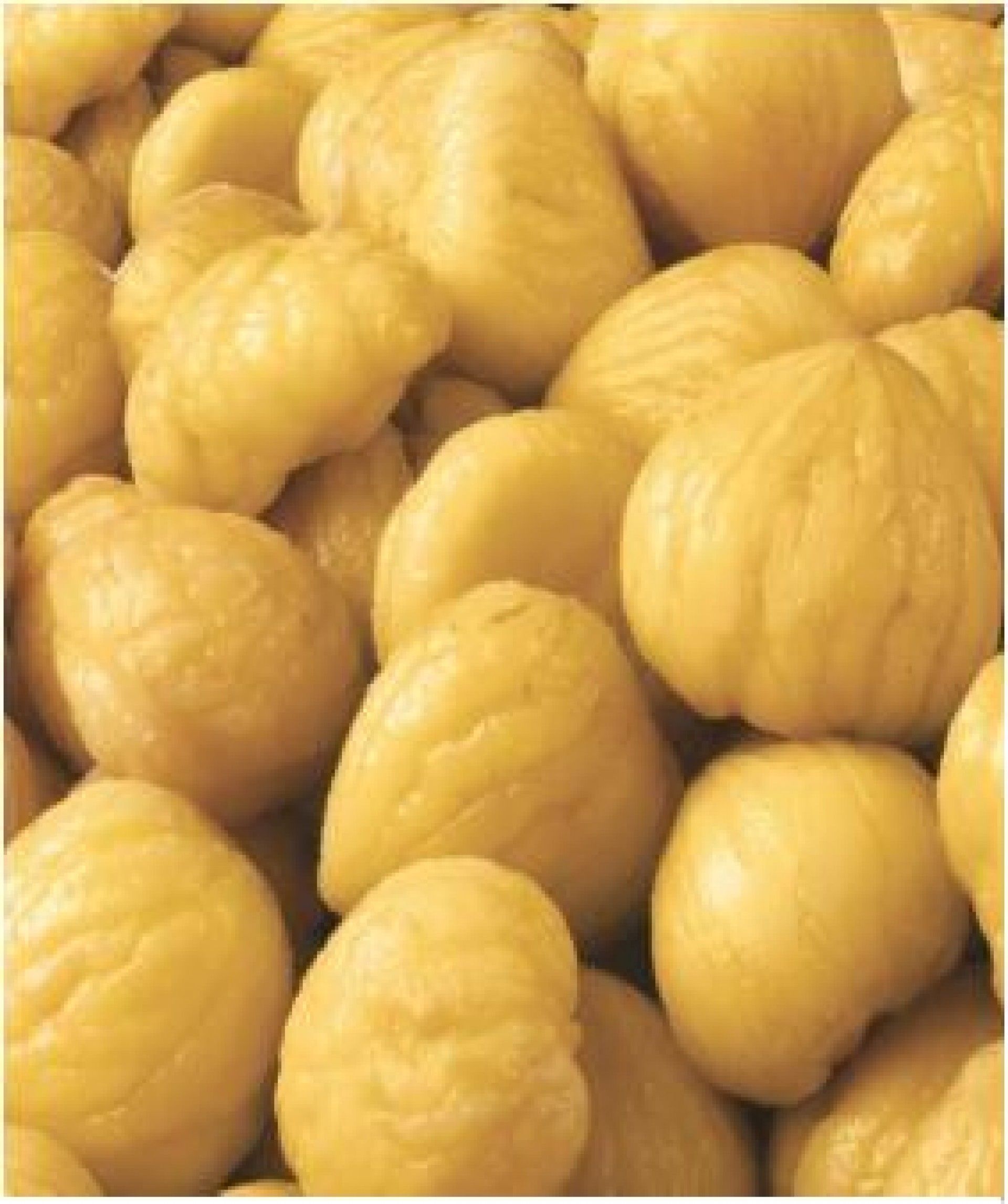 CASTANHA MIOLO 100/120 CONG. SORTEGEL 500G (10)