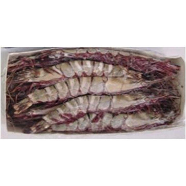 CAMARAO JUMBO (U/5) MONODON SELV. SENEGAL AWAMER 2KG (18)