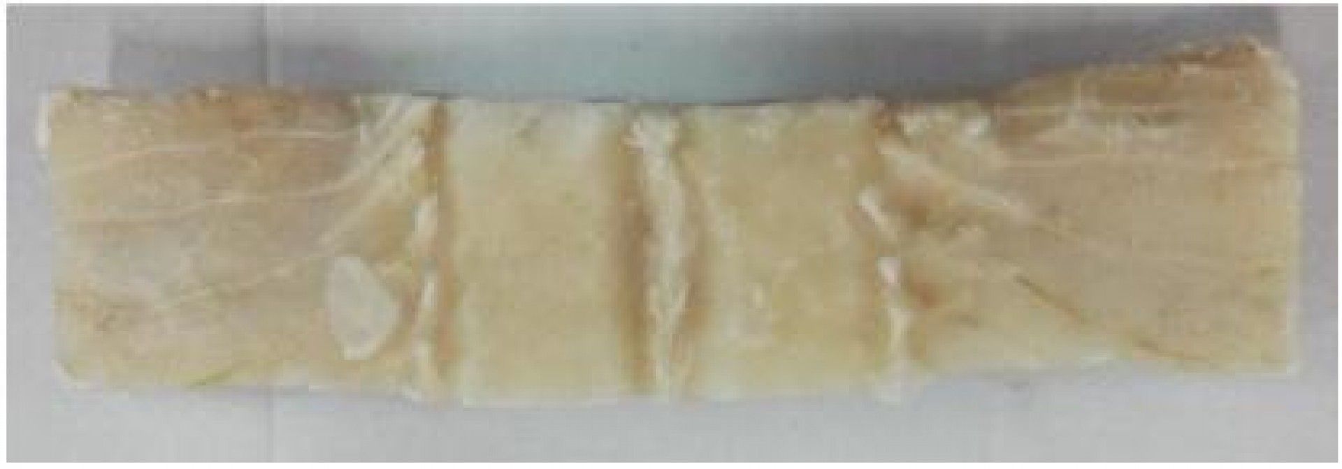 BACALHAU CONG P.LOMBO AB 800/900 RIBERALVES KG(10)(30152J89)