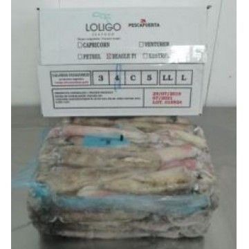 LULA C4 (9/12) PATAGONIA LOLIGO KG (+-5)