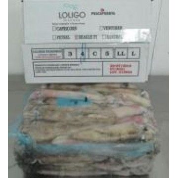 LULA PATAGONICA 4L (12/16) LOLIGO KG (+- 5)