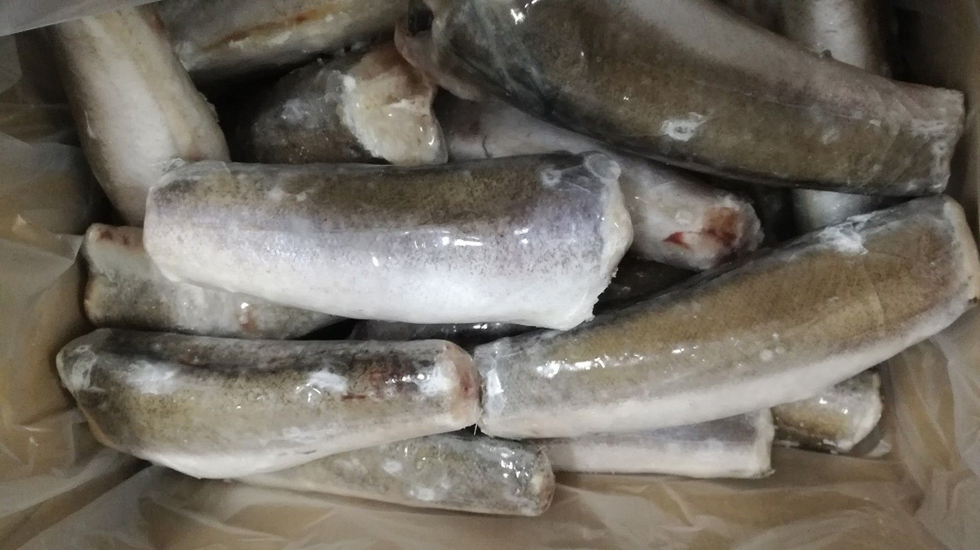 PESCADA ARG. 300/500 S/C GRANEL FRIONDA KG (9) (11247)