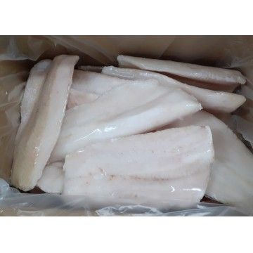 FILETE PESCADA (9/+) (+250G)A.SUL GRANEL FRIONDA (8)(11318) FILETE PESCADA (9/+) (+250G)A.SUL GRANEL FRIONDA (8)(11318)