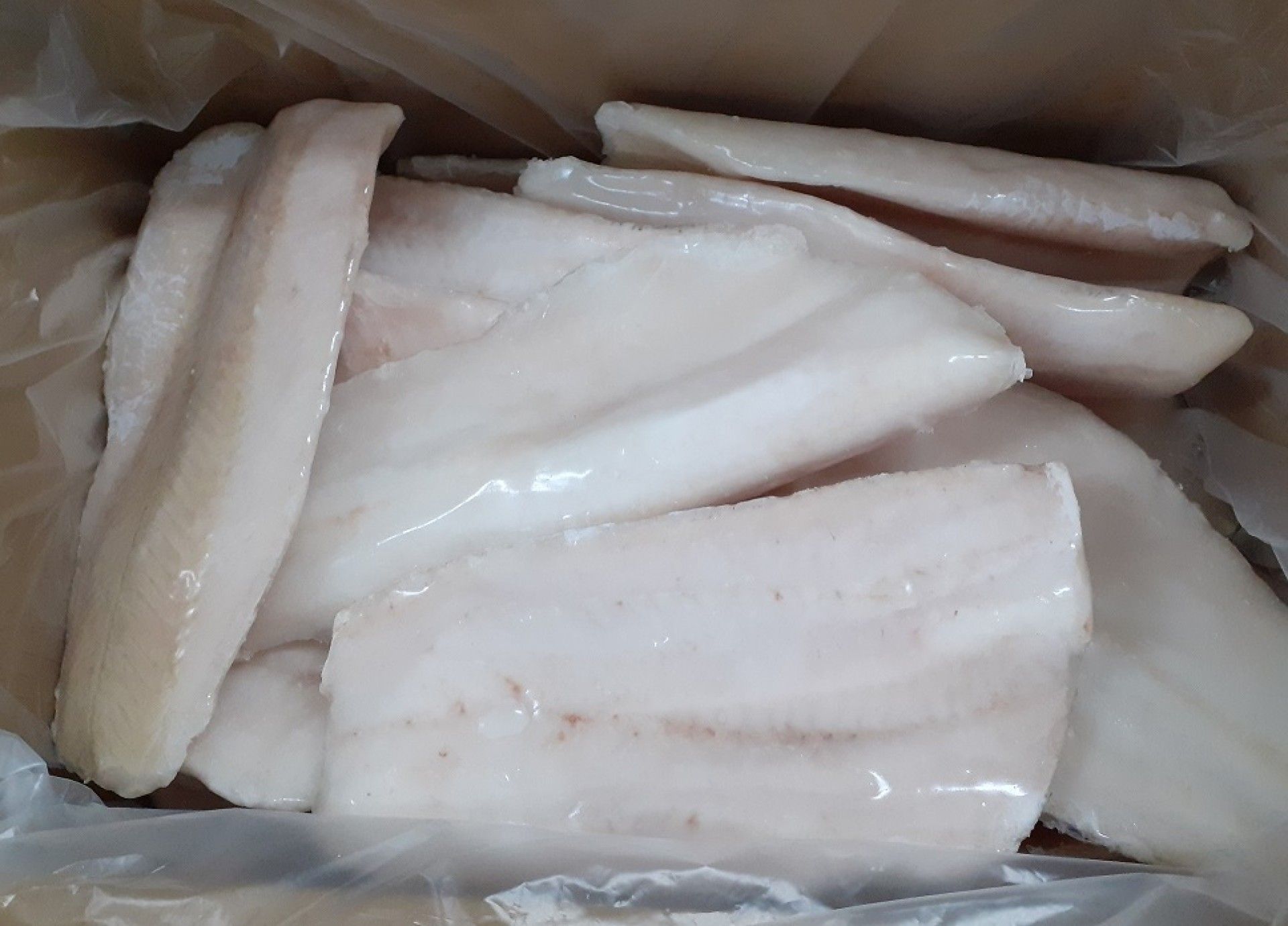 FILETE PESCADA (9/+) (+250G)A.SUL GRANEL FRIONDA (8)(11318)