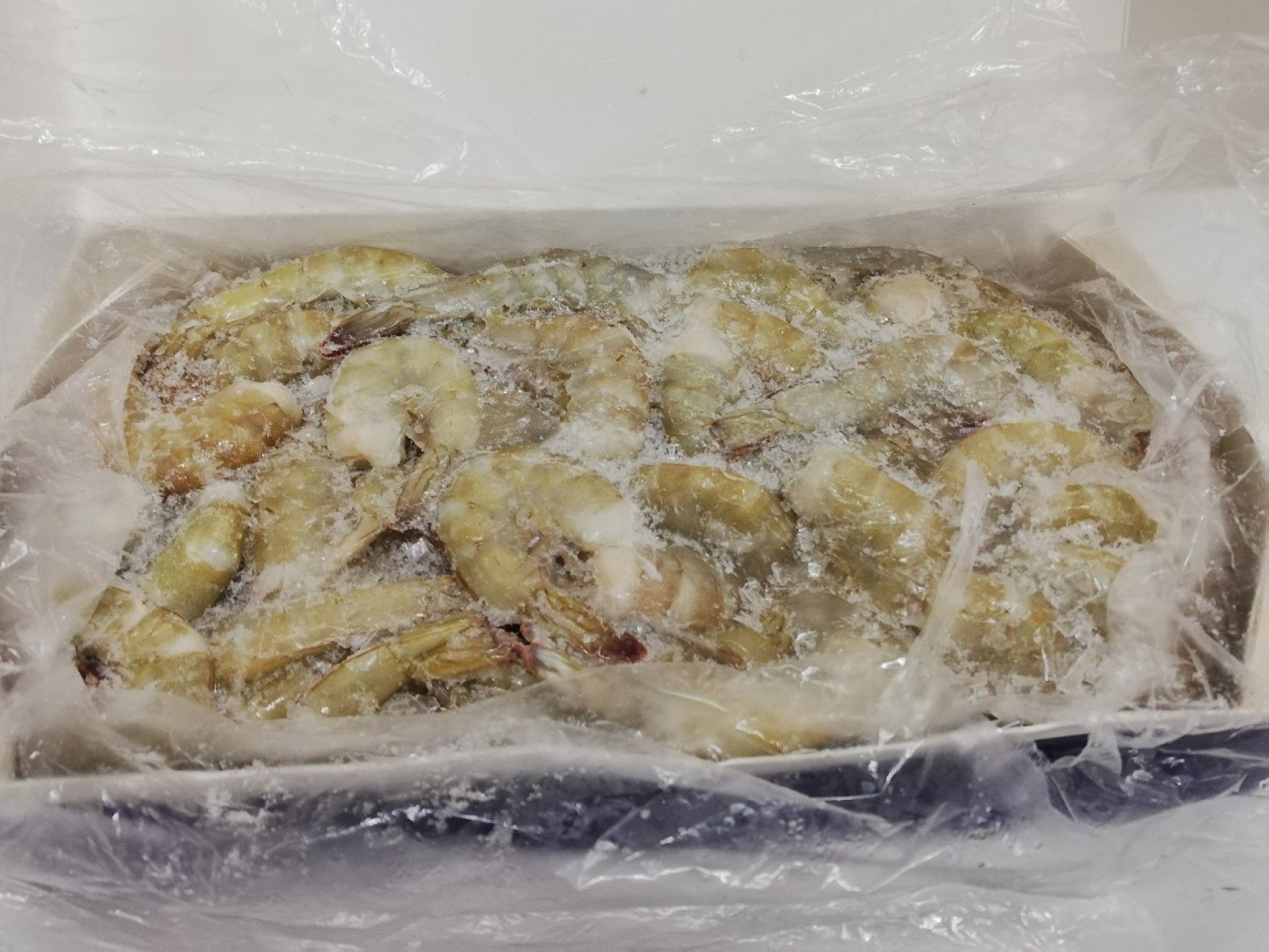 CAMARAO S/ CABECA 31/35 VANAMEI CORAL 2KG (PLE 1.8) (20)