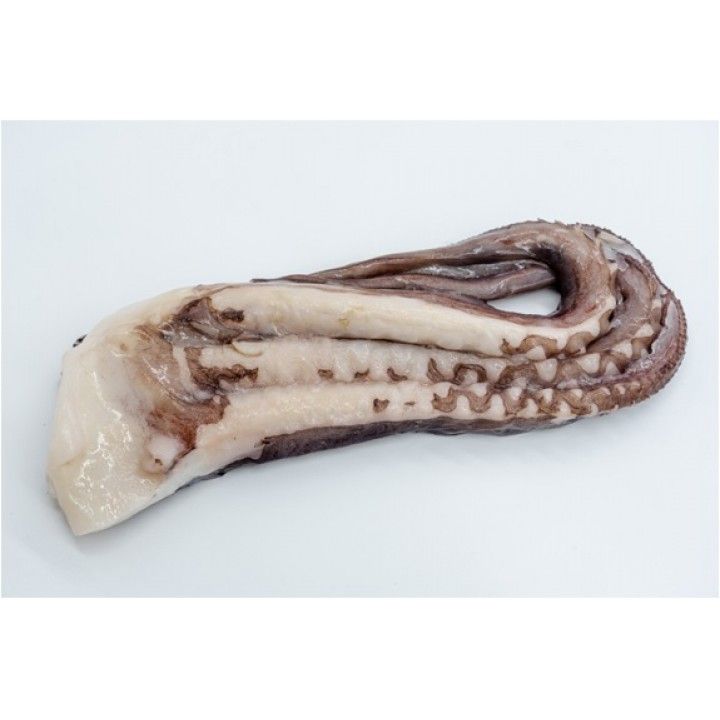 POTA TENTACULOS (+3000) IQF NOVAGEL KG (10) POTA TENTACULOS (+3000) IQF NOVAGEL KG (10)