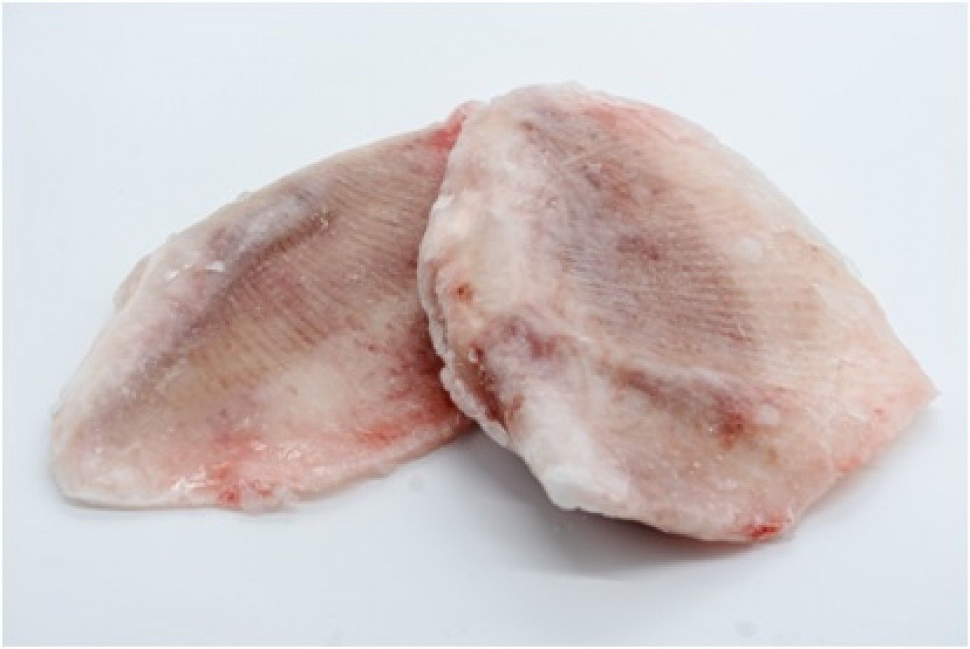 RAIA ASAS (300/600) GRANEL FRIONDA KG (8) (11302)