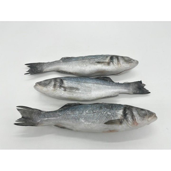 ROBALO INTEIRO (200/300) FRIONDA (11120) ROBALO INTEIRO (200/300) FRIONDA (11120)