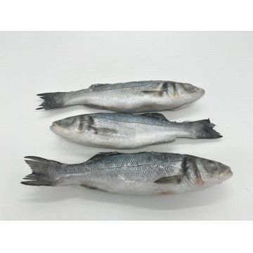 ROBALO INTEIRO (200/300) FRIONDA (11120) ROBALO INTEIRO (200/300) FRIONDA (11120)